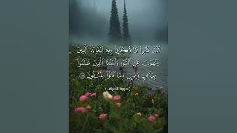 #بلغوا_عني_ولو_آيه بصوت هشام مجدي الآية   ١٦٤  الي ١٦٧ من سورة الأعراف
