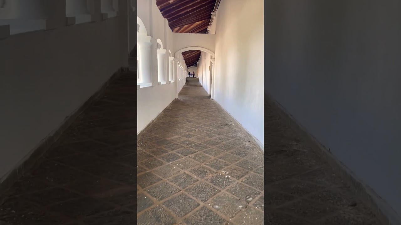 🇱🇰 Inside a 1000 year old temple Sri Lanka! 