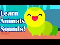🐞🐓🦋🐒Learning About Animals Sound for Kids🐞🐓