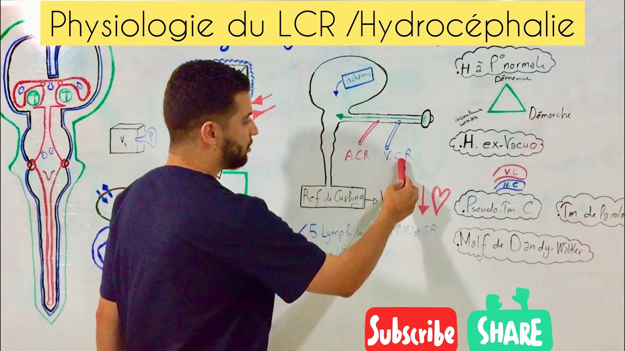 Download Physiologie du LCR- Hydrocéphalie- HIC
