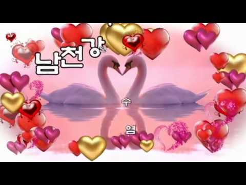 염수연  💖남천강 아가씨💖(가사)
