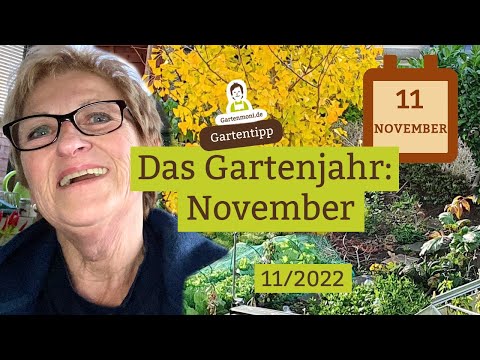 Video: Verschiedene Arten von Agapanthus - Erfahren Sie mehr über winterharte Agapanthus-Sorten