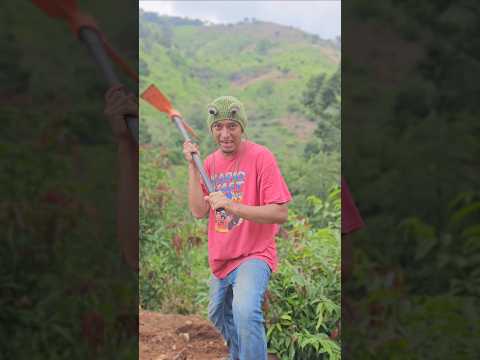 El ARMADILLO MISTERIOSO 😱 #shorts #viralvideo