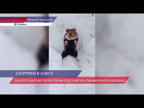 После очистки территории под снегом обнаружился карбыш