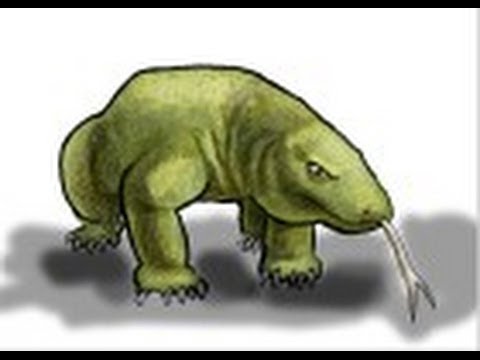 How To Draw A Komodo Dragon Youtube