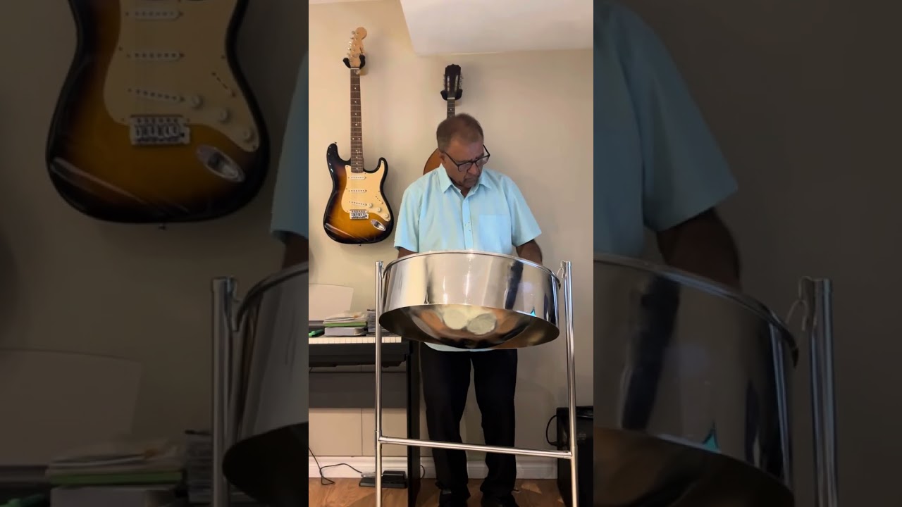 Bump ‘n Wine by Spice | Steel Pan Cover