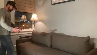Famous Luonto bunk bed couch Wealth