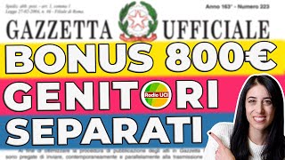 bonus 800 euro genitori separati requisiti a chi spetta come fare domanda bonus famiglia 800€ screenshot 2