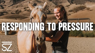 Three Ways to Train Your Horse to Respond to Pressure