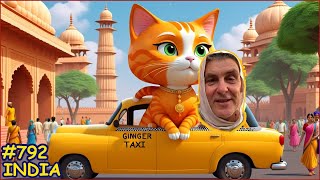 India. Travel to Vrindavan with Roxy, the ginger cat. Visa for Roxy. Finally India!