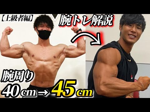 Muscle training] Training method to increase arm circumference