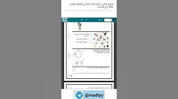 اختبار علوم نهائي ثالث ابتدائي ف1 1446 