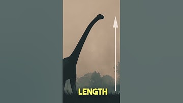 Largest Dinosaur EVER Found! 🔥