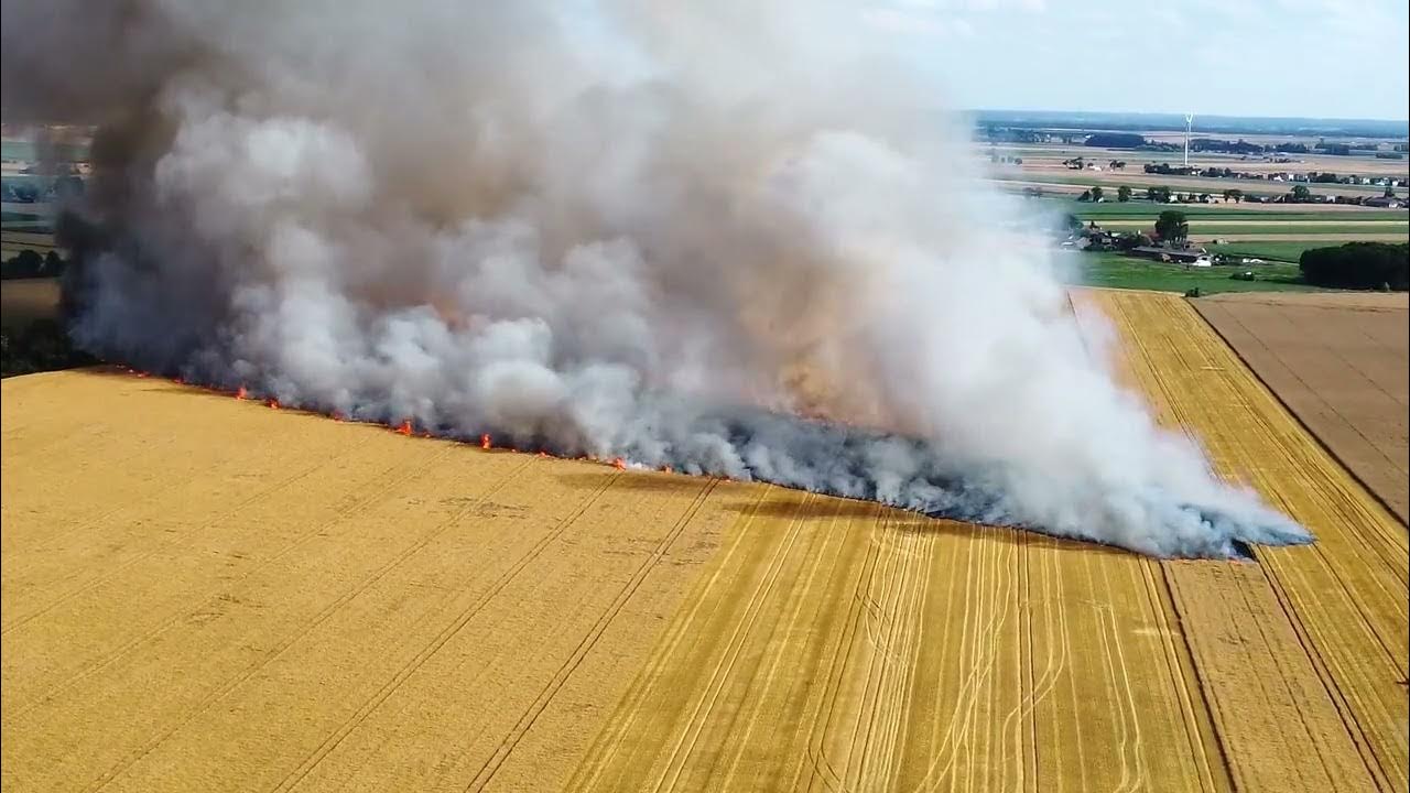 Pożar pola 30 hektarów .Grabowo Królewskie YouTube