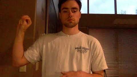 SLG 102 Final Expressive Video