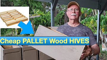 Cheapest Pallet Wood Beehives