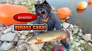 Bypass Canal fishing again!