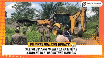 Satpol PP Akui Masih Ada Aktivitas Kandang Babi di Guntung Manggis