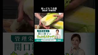知ってた白菜の成長点と部位別のすごい栄養効果