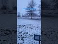 Snowflakes