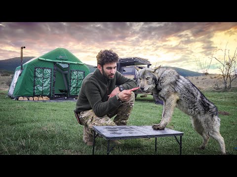 DAĞDA KURT İLE SOBALI SICAK ÇADIR KAMPI!