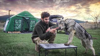 HOT TENT CAMP WITH STOVE IN THE WILD WITH THE WOLF!