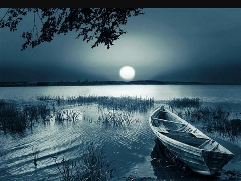 البث التابع لي حول يلا شوت   بث مباشر