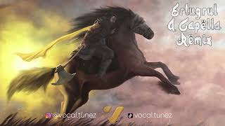 ERTUGRUL (VOCALS ONLY)