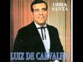 Luiz de Carvalho - Flor Gloriosa