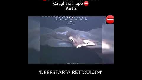 Unexplained Videos Caught On Camera: Mysterious Creatures caught on Tape #Shorts