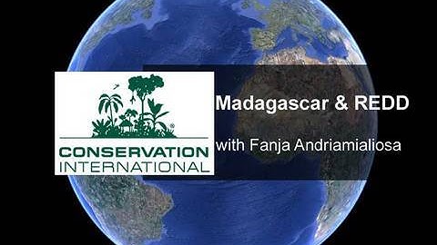 Madagascar: Forging New Economic Paths Through REDD Projects