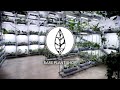 A Tour Of The Rare Plant Shop Spring 2021 | 6000+ RARE PLANTS!