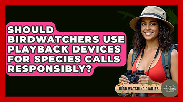 Should Birdwatchers Use Playback Devices For Species Calls Responsibly? - Bird Watching Diaries