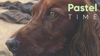 Red Setter in Soft Pastel - Timelapse screenshot 2