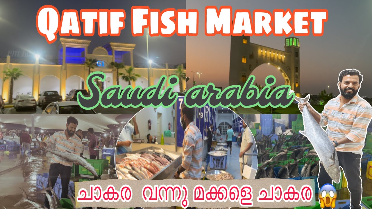 Qatif Fish Market !മീൻ ഇഷ്ടപ്പെടാത്തവർ പോലും കാണാൻ കൊതിക്കുന്ന ഒരു