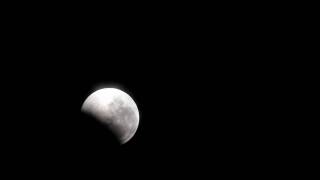 Lunar Eclipse 10th December, 2011 ( Shown @ 8x )