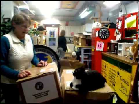 cage free vs organic eggs Boxes 4-17-13