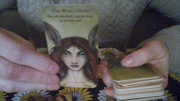 Unboxing/ The Forest Fae by Nadia Turner