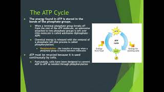 Module 5 Pt 1