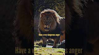 Anger is dangerous 💀🔥 Motivational quotes inspirational quotes #shorts #shortsvideo #motivation