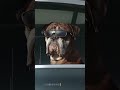 sumsung phone ai 😇 #trending #viral #shorts #phone #shortvideo