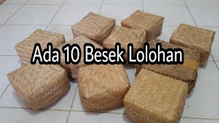 Hari Ini Ada 10 Besek Unboxing Anakan Burung Lolohan Hari Ini Ada 10 Besek Unboxing Anakan Burung Lolohan