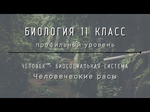 Биология 11 кл Теремов §38 Человеческие расы