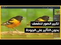 تكبير الصور حتي الضعف بدون التأثير على الجودة تكبير الصور حتي الضعف بدون التأثير على الجودة