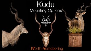 Kudu Mount Options | Splitting Image Taxidermy