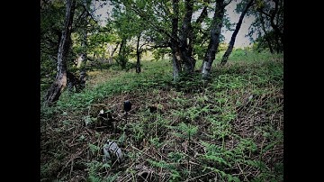 Isolation Room presents 