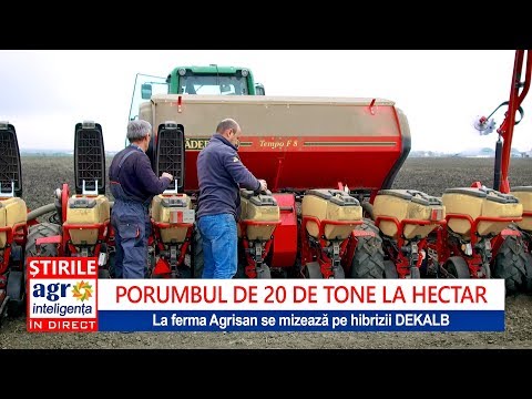 Video: Porumb. Tehnica Agricolă Corectă