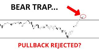 Technical Analysis of Stocks: SPY / QQQ / NVDA / TSLA / AMD / PLTR / MSTR / COIN / BTCUSD