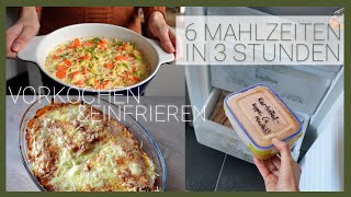 Only 3 hours cooking for a week! | Freezer Meals put to the test