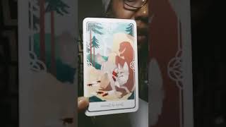 Quick Read #foxenergy #sneaky #tarot
